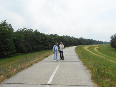 Foto 43